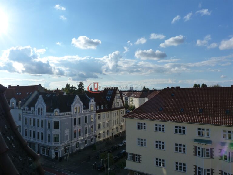 Aussicht (1)