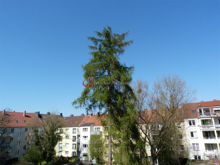 Aussicht (4)