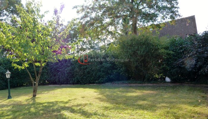 Gartenansicht (6)