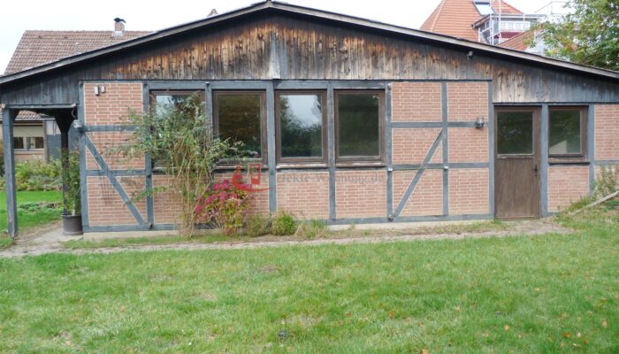 Rückseite Halle (1)