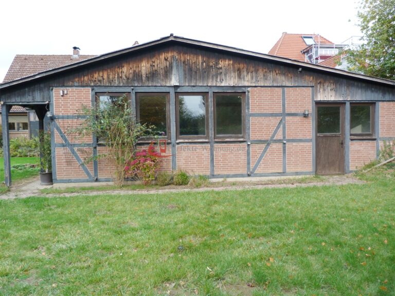 Rückseite Halle (1)