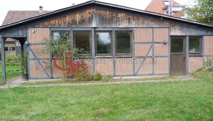 Rückseite Halle (1)