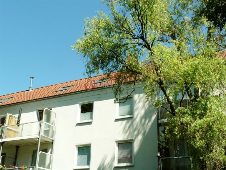 Hausansicht I